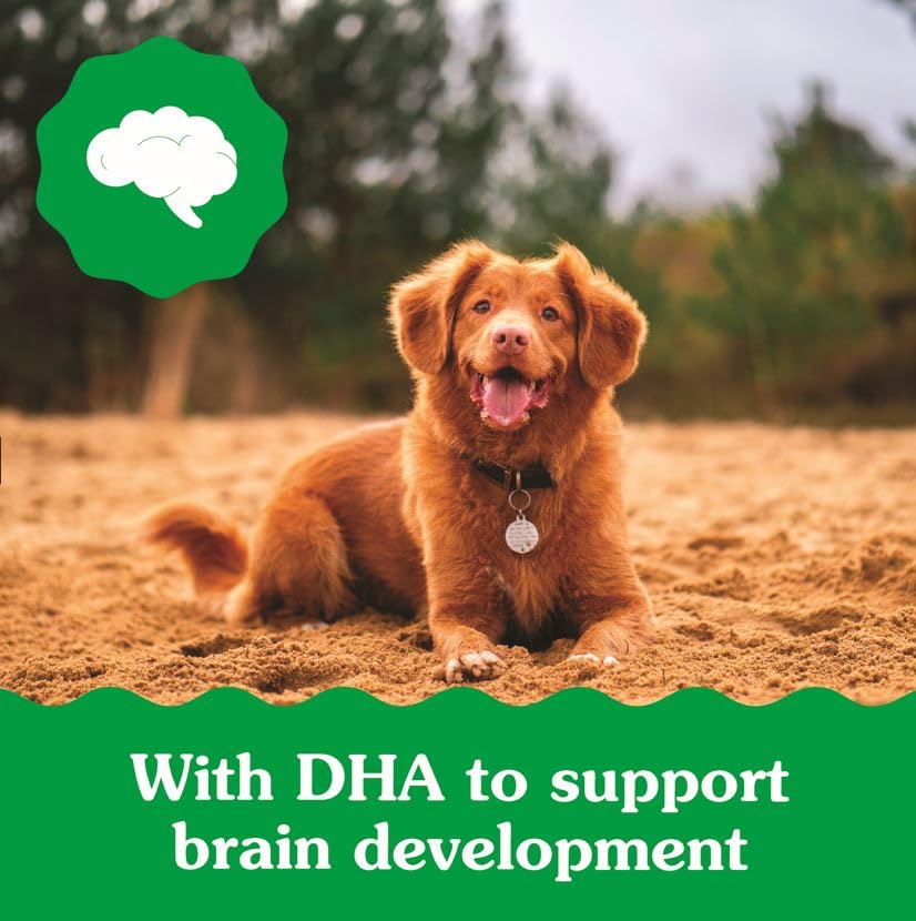 Greenies Puppy Regular Size Dental Dog Treats, 12 oz. Pack (12 Treats)