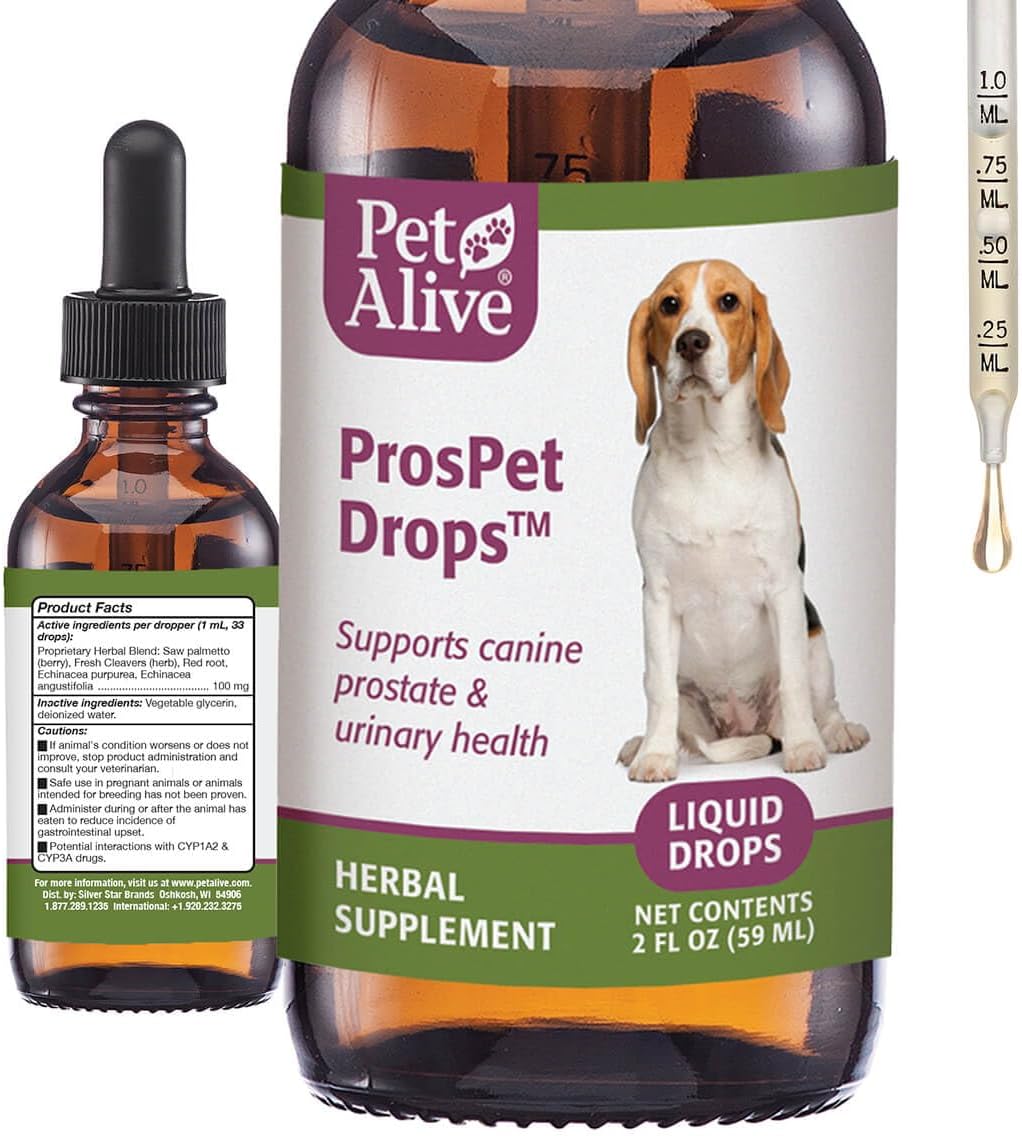 Melatonin for Dogs | Dog Melatonin | Melatonin for Dogs Sleep | Sleep Aid for Dogs | Dog Sleep Aid | Dog Calming | Calming for Dogs | Dog Calming Treats | Dog Anxiety Relief | (2 Pack)