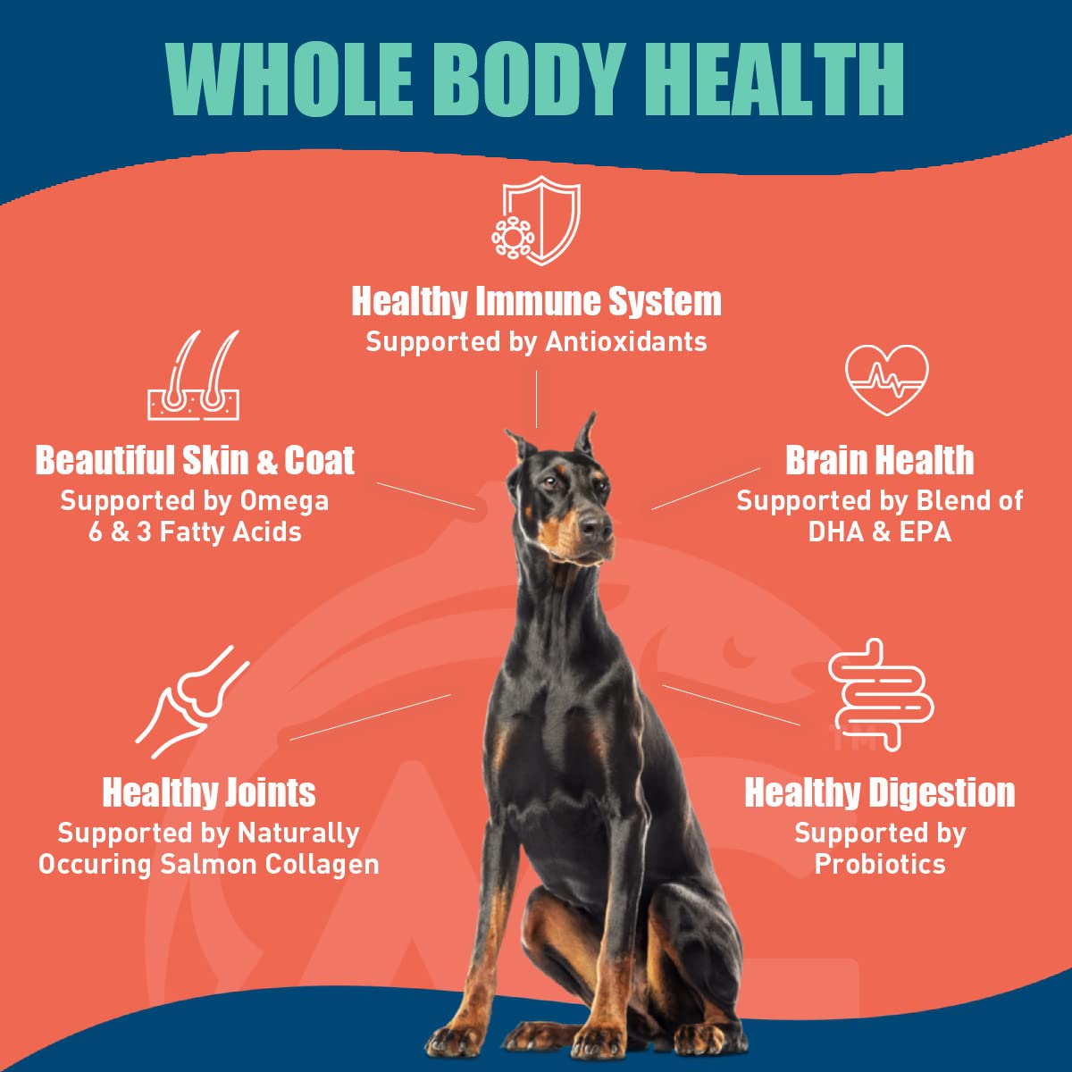 Alaskan Gold SUPER3+ Salmon Freeze Dried Raw Salmon Dry Dog Food | Puppy & Adult | Small & Large Breed | High-Protein | Grain-Free | All-Natural Nutrition | 3-lbs