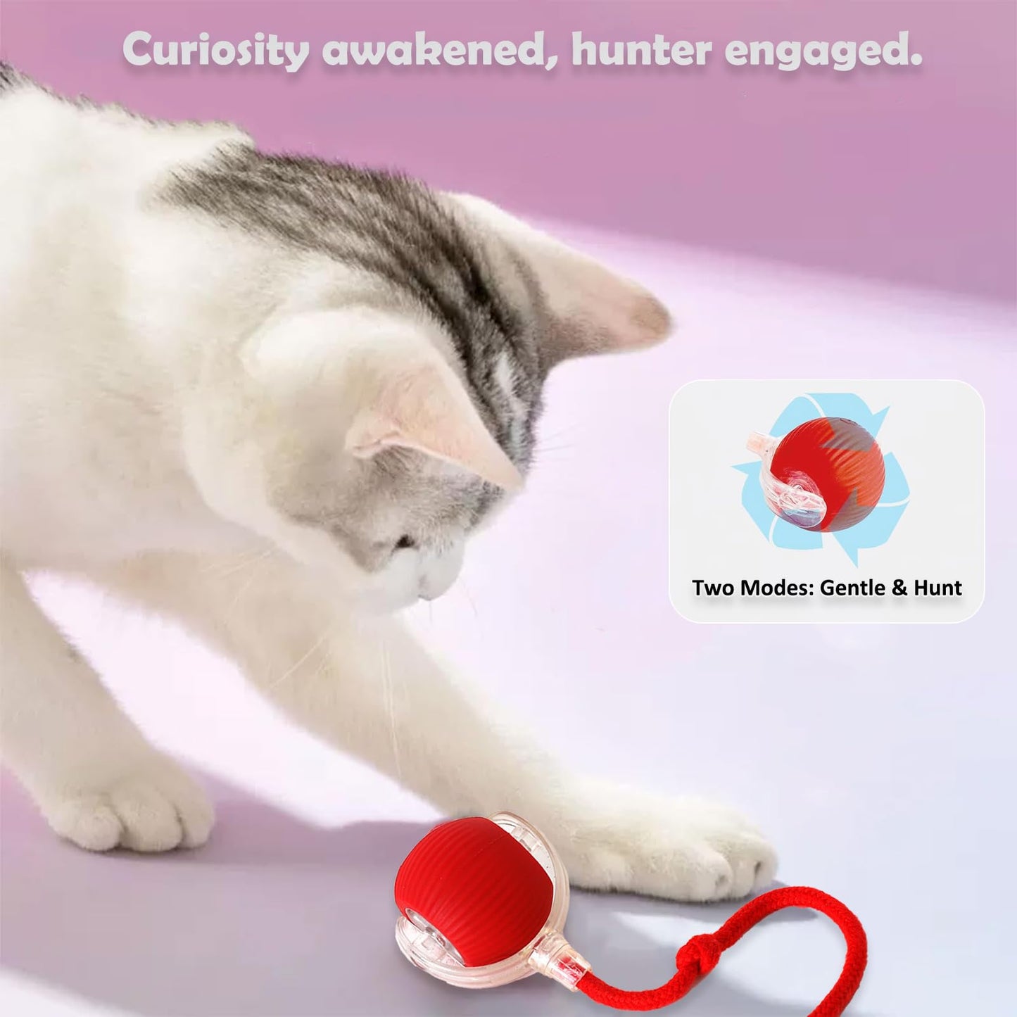 Found Notice Interactive Cat Toy Ball | Automatic Moving Smart Anti-Depression Pet Toy with Light | Speedy Tail 2.0 Cat Mouse Toy | Electric Rechargeable Enrichment Toy for Indoor Bored Cats & Dogs