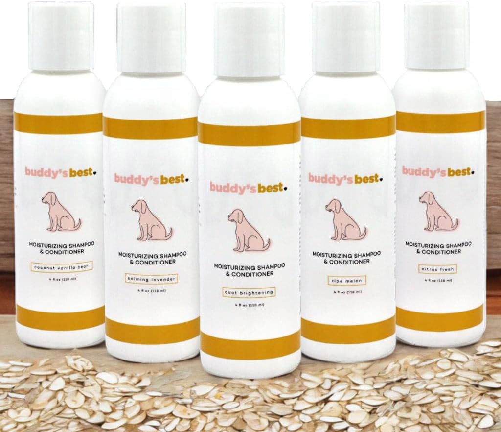 Dog Shampoo for Dry and Itchy Skin Made in The USA by Rockwell Pets Pro (16 fl oz) ideal paw cleaner for dogs with Aloe Vera Argan Oil Natural Willow Meadowsweet Chaparral and Olive Extracts