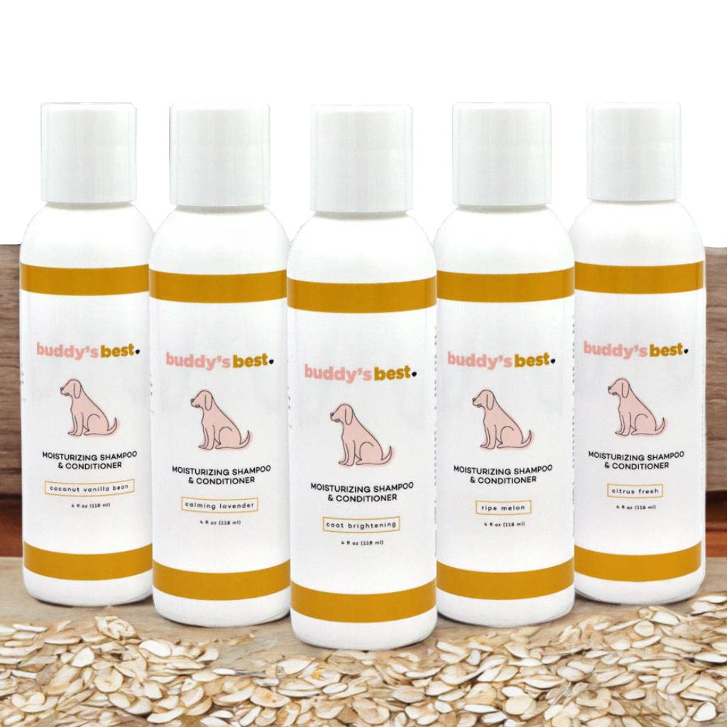 Dog Shampoo for Dry and Itchy Skin Made in The USA by Rockwell Pets Pro (16 fl oz) ideal paw cleaner for dogs with Aloe Vera Argan Oil Natural Willow Meadowsweet Chaparral and Olive Extracts