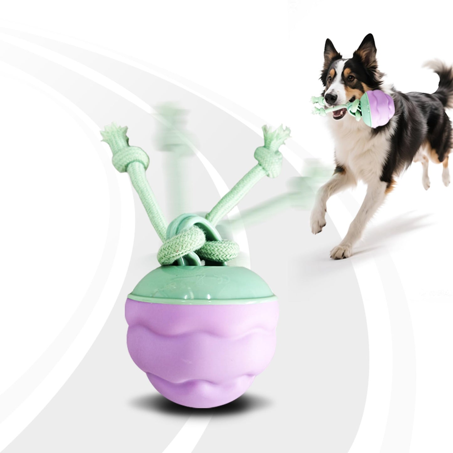 Zelunika Interactive Dog Toys [2025 Upgrade] – Smart Dog Ball, Automatic Motion-Activated Rolling, Random Path, Squeaky Sounds, USB-C Rechargeable LED Light, Indoor/Outdoor Use