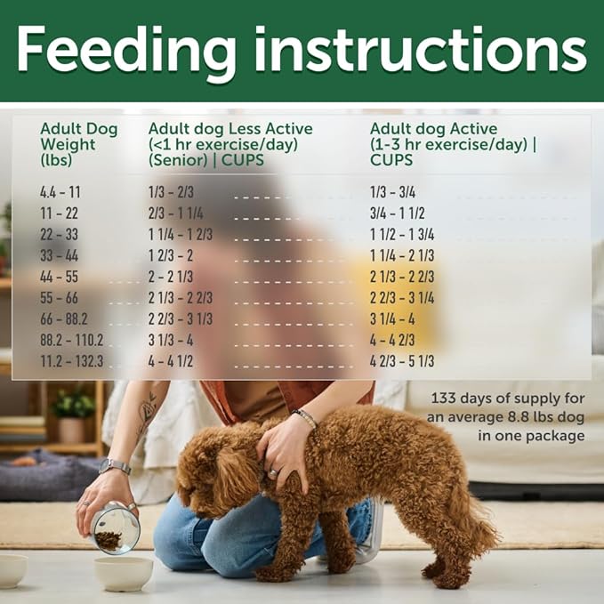 Nature's Protection Superior Care Grain-Free Dry Dog Food - High Protein, Coat Shine Dog Food for All Breeds Red Coated All Life Stages Dogs, Fresh Pet Meal, Lamb, 22 lb