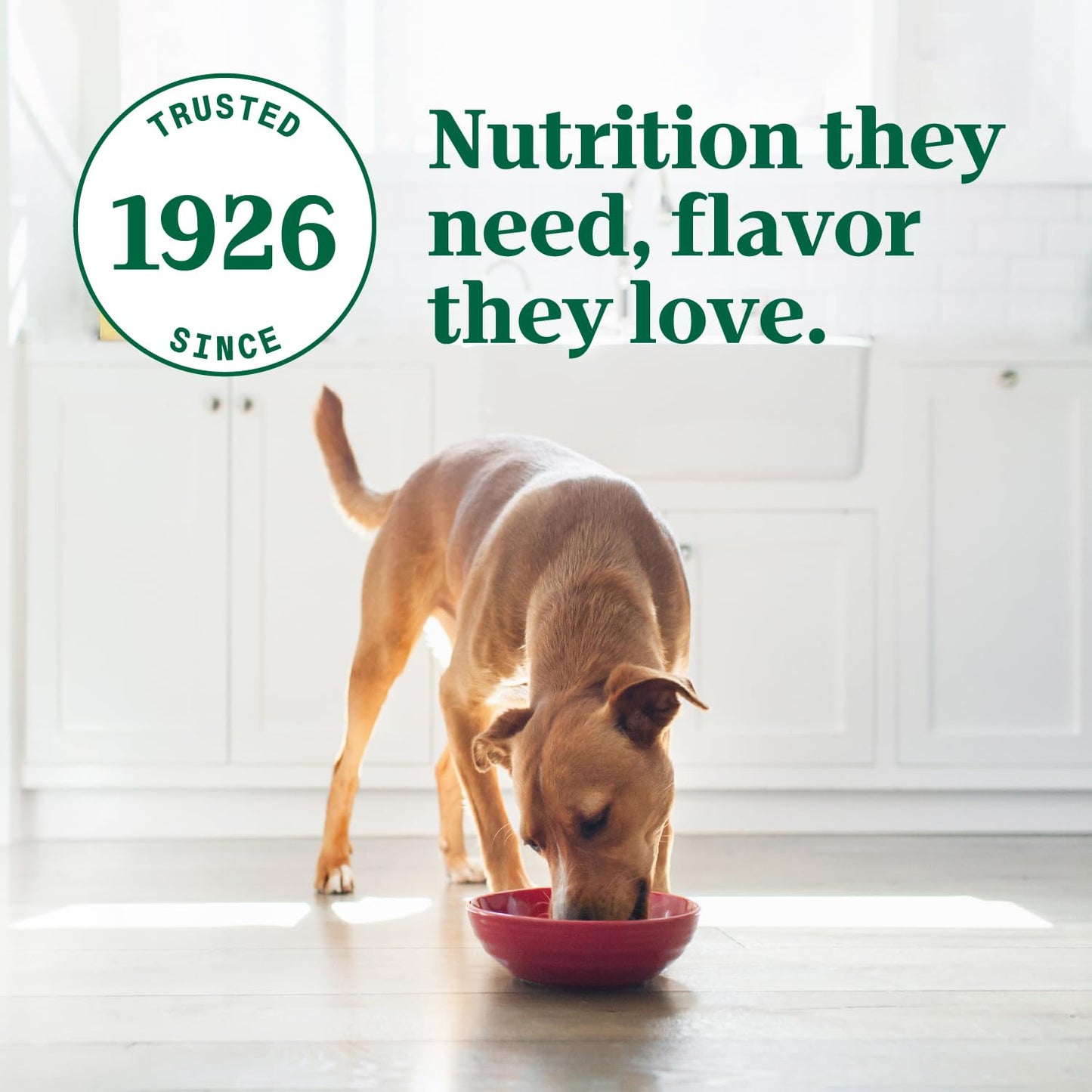 Nutro Ultra Wet Dog Food Senior Pate Trio of Proteins Chicken, Lamb & Whitefish, 3.5 oz. Trays (24 Count, Pack of 1)