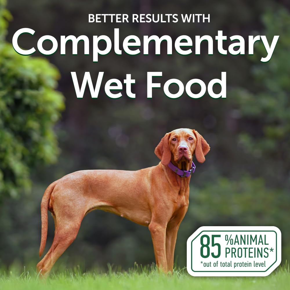 Nature's Protection Wet Dog Food Pouches for Small & Large Breed - High Protein, 24-Pack Soft Dog Food Toppers for Adult Red Fur Dogs (Superior Care - Tuna Fish, 2.46-oz)