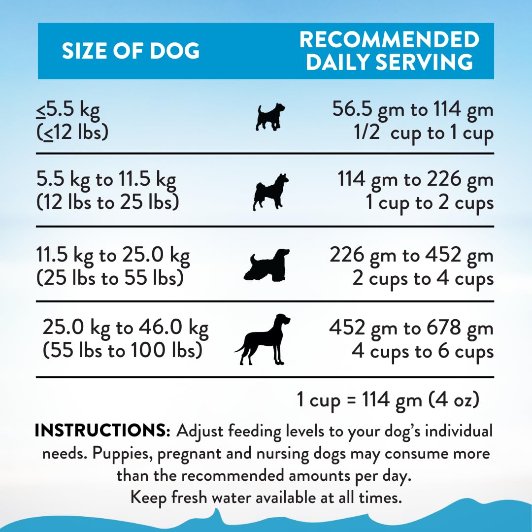 Addiction Salmon Bleu Grain-Free Dry Dog Food - Rich in Prebiotics to Support Skin, Coat & Cognitive Health - Salmon Recipe for All Dog Life Stages - Made in New Zealand 20 lb