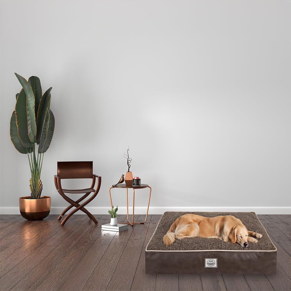Memory Foam Dog Bed for Medium Dogs- Waterproof Dog Bed Mat with Removable Washable Cover, Waterproof Lining and NonSkid Bottom.Brown