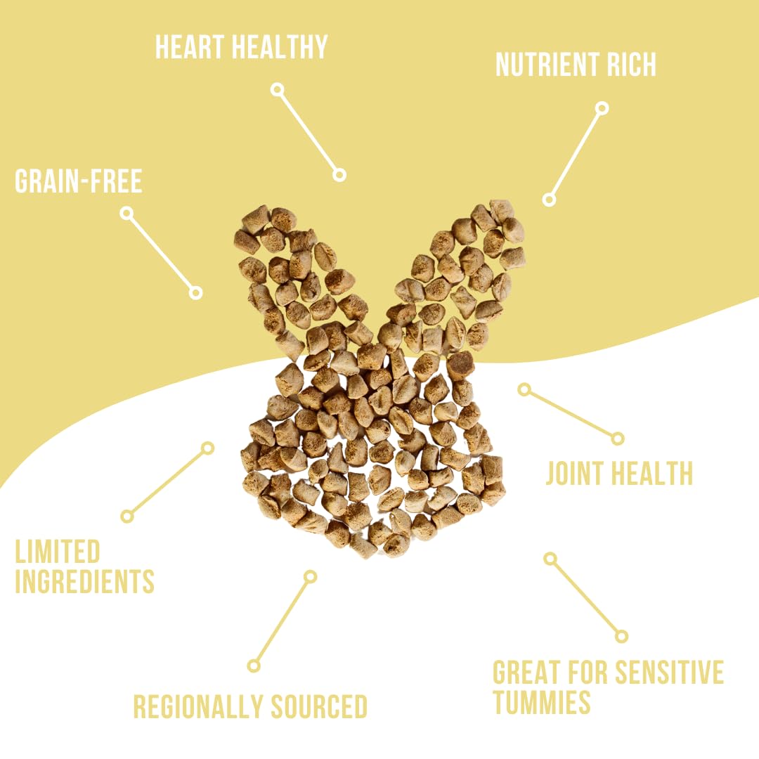 Remy’s Kitchen Apple Cinnamon Freeze Dried Dog Treats USA Sourced and Small Batch Made - Human-Grade, All Natural Superfood Dog Snacks Without Artificial Preservatives, Grain Free - 3.5 oz