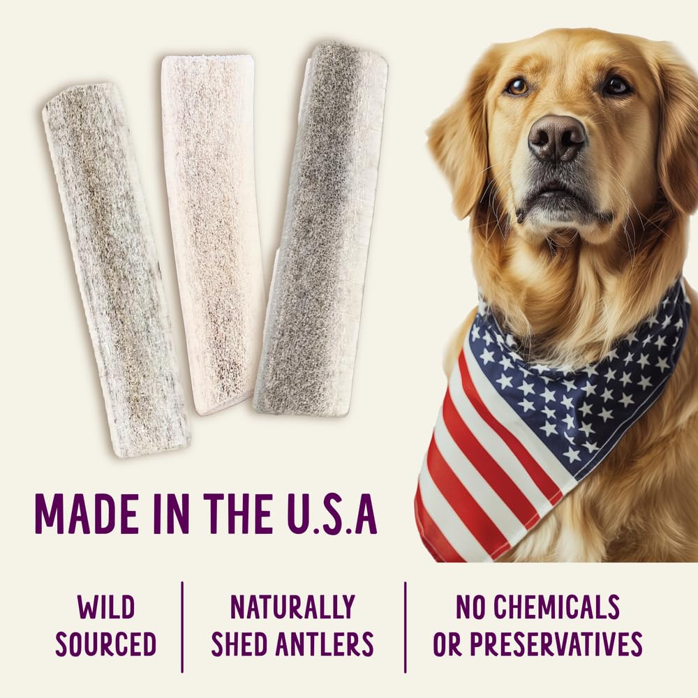 Health Extension Small Sliced Elk Antlers for Dogs – Long-Lasting Natural Chews for Dental Health, Puppy Training & Aggressive Chewers