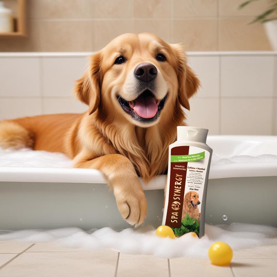 Spa Synergy Pet Dog Shampoo Natural Dead Sea Mineral Rich, Aloe Vera & Vitamin-E, Hair Repair, Stimulates Hair Roots, Refreshing - Caffeine & Menthol - (1) Bottle 16.5 FL OZ