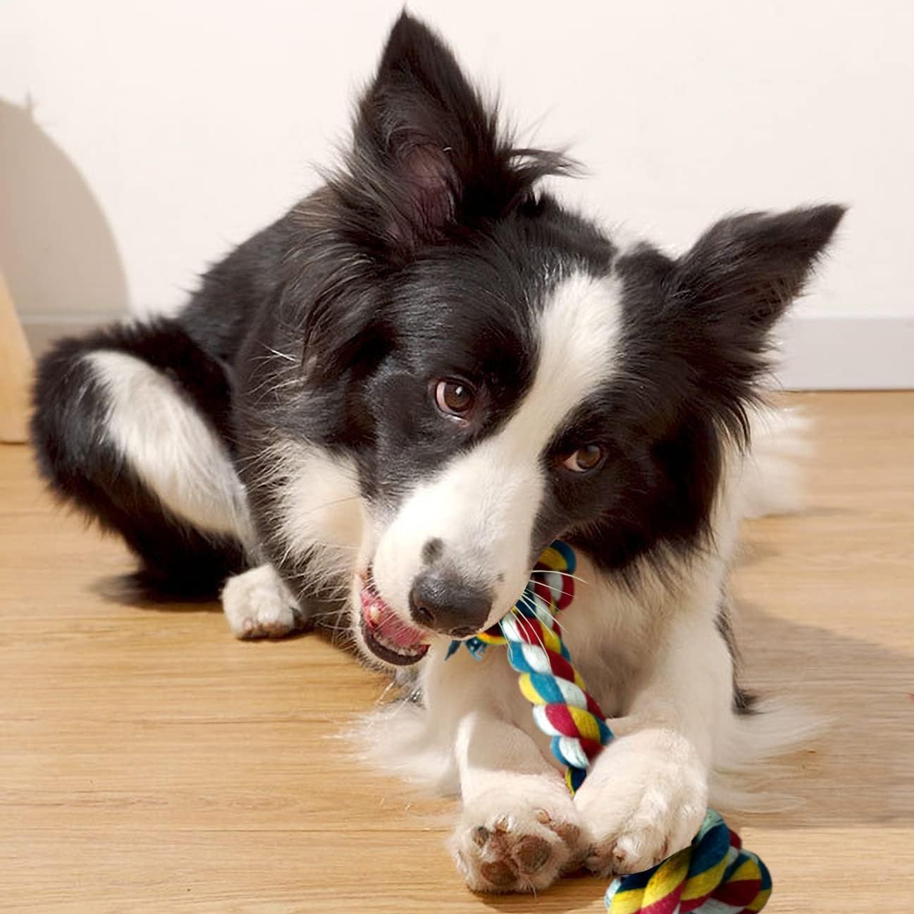 Interactive Dog Toys Dog Puzzle Toy Interactive Dog Toys for Boredom(Blue and Dog Bite Rope Toys)