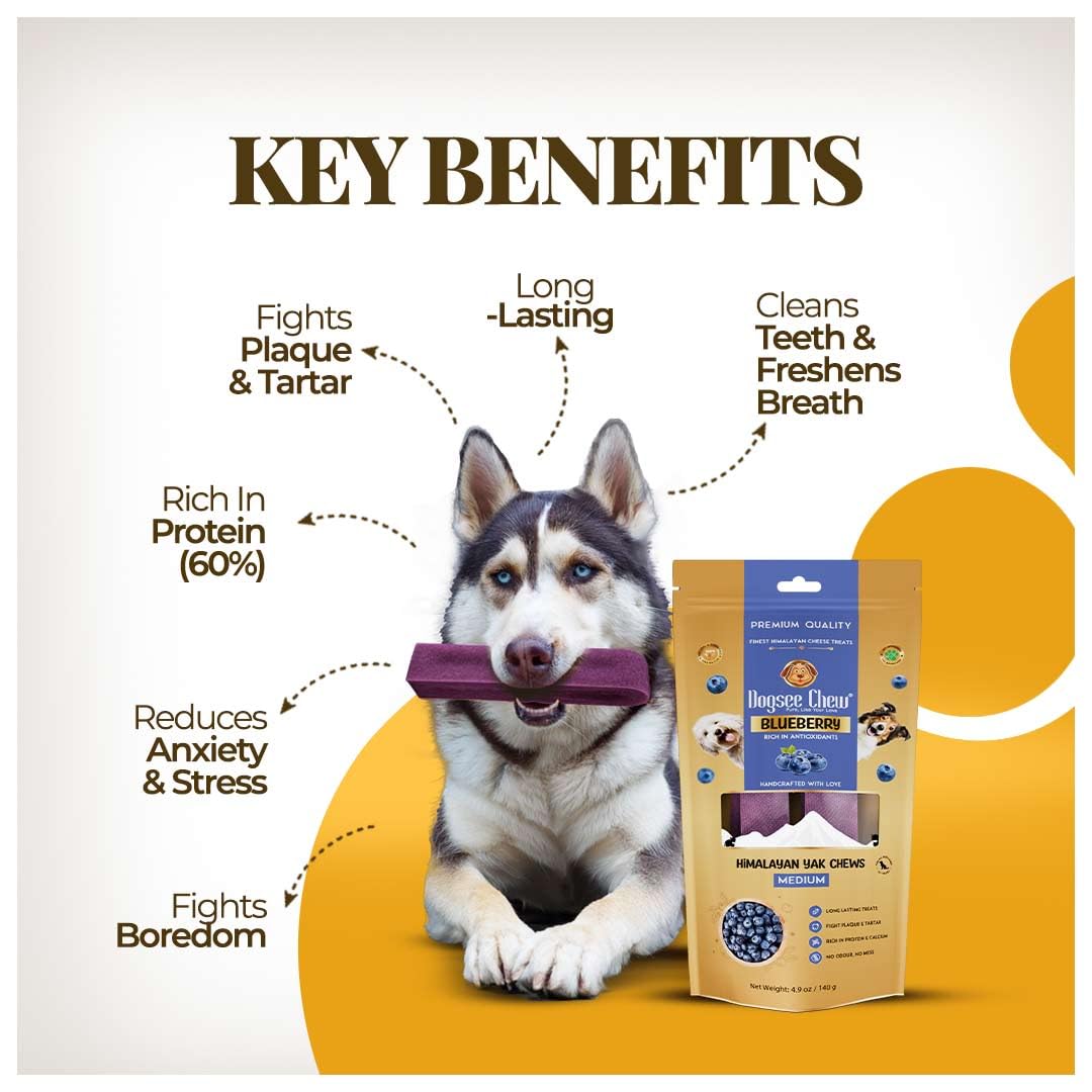 Dogsee Blueberry Flavor Himalayan Yak Cheese Dental Chews for Dogs - (Large 4)| Dog Treats Healthy | Cleans Teeth & Freshens Breath | No Grain, No Gluten | Dog Chews Rawhide Free
