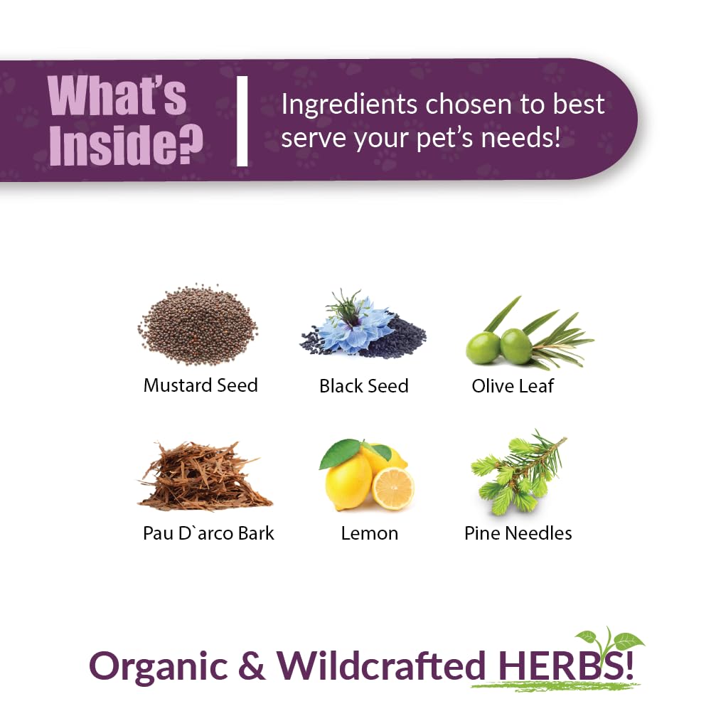 Chicken Soup for the Soul All Natural Premium Large Breed Adult Dry Dog Food, Real Meat First Ingredient, No By-Products, Supports Heart, Gut & Immune Health, Chicken, Turkey & Brown Rice, 28lb