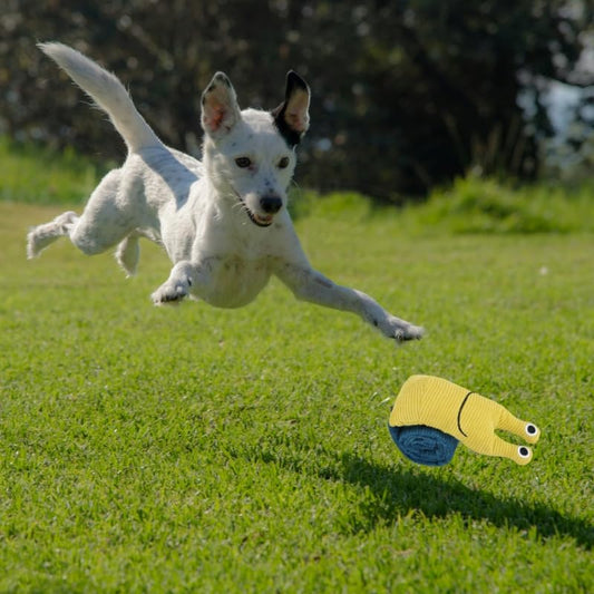 Purfur Interactive Dog Puzzle Toy, Treat Dispensing Plush Toy, Snuffle Enrichment Game for Small Medium Large Dogs (Yellow)