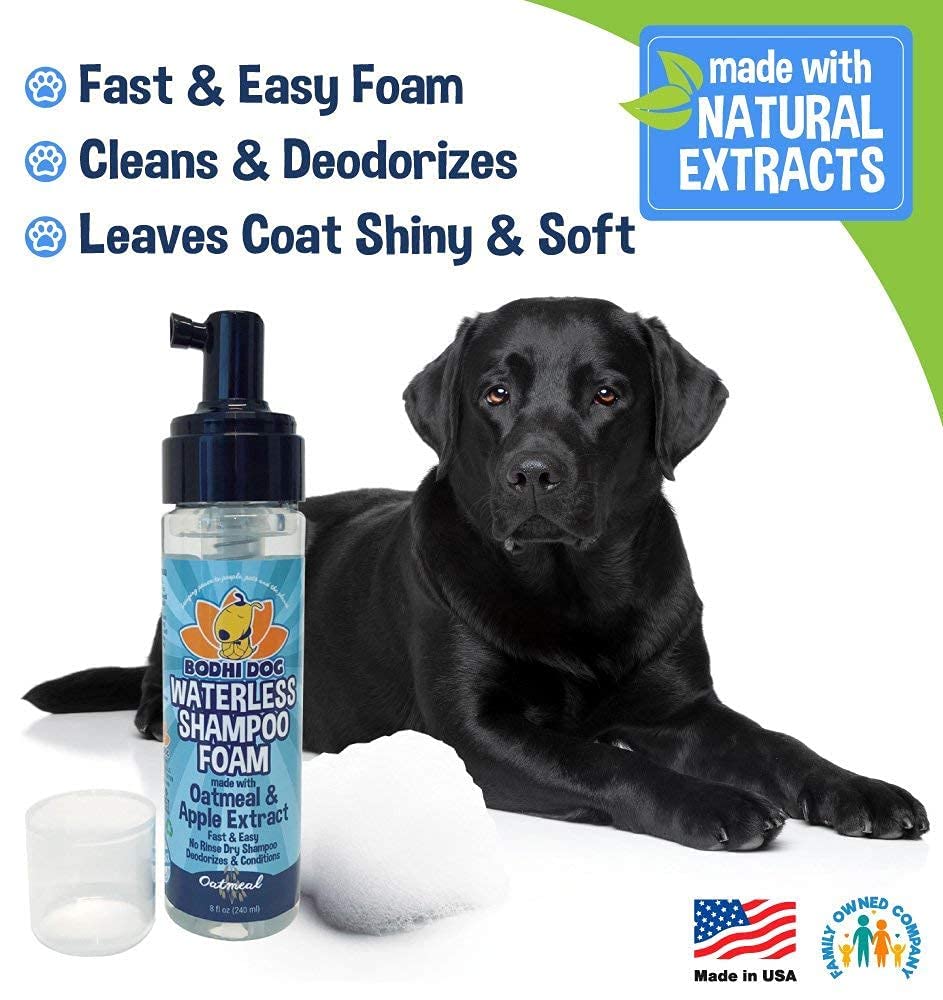 Bodhi Dog Waterless Foaming Shampoo - Dry Shampoo for Bathless Cleaning, No Rinse Required - Natural, Gentle Cleaner for Sensitive Skin - Made in USA (8 Fl Oz)