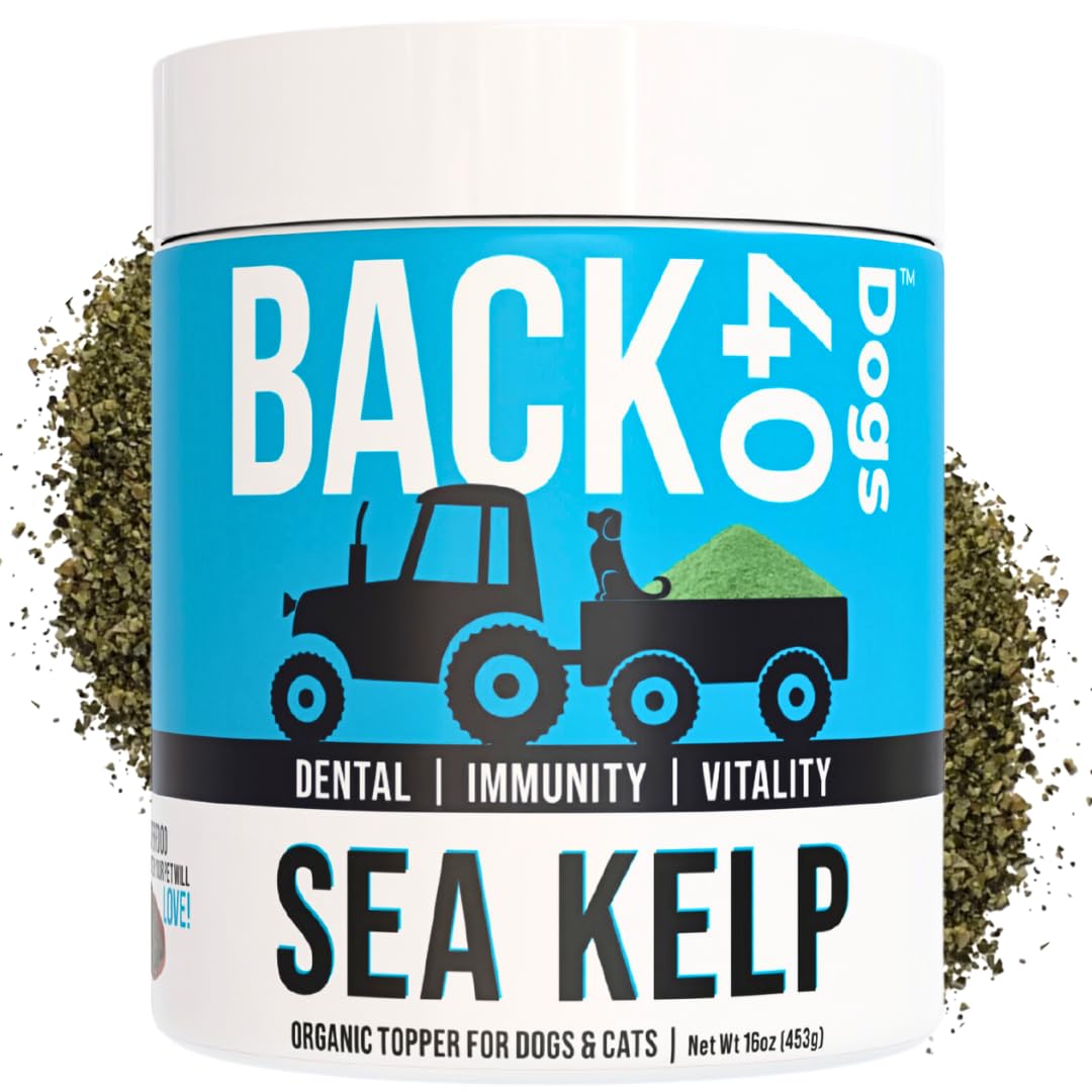 Back40Dog Complete Health Powder Bundle – Organic Sea Kelp16 oz, Grass-Fed Beef Bone Broth 6.4 oz & Organic Pumpkin Powder 8.1 oz – Thyroid, Joint & Digestive Support