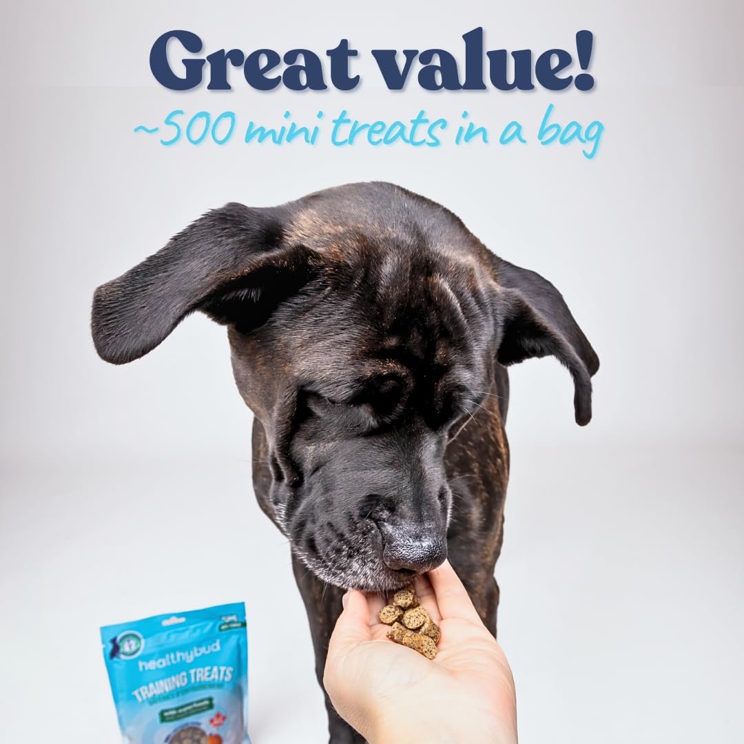 healthybud Mini Dog Training Treats - Beef Liver Soft Trainer Bites, 500+ Bits, 1 kCal per Bite, 6.5oz, Reishi, Lion’s Mane, Salmon Oil, Puppy Chews (Chicken)