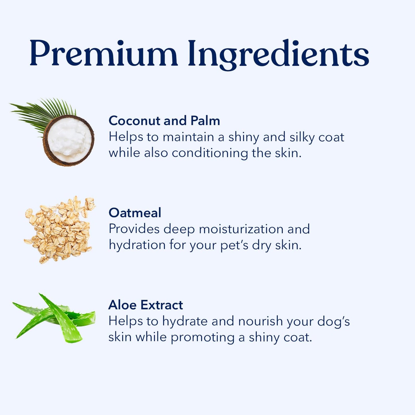 Honest Paws Dog Shampoo Conditioner - Grooming Bundle with Dry Shampoo - Cleanse, Moisturize, Deodorize, Condition, Detangle - Coconut & Mango