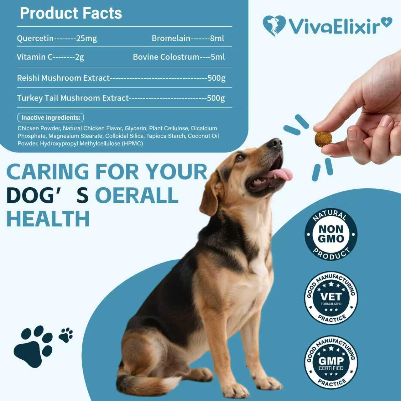 Dog Allergy & Itch Relief Chews – Quercetin, Bromelain, Colostrum & Mushroom Extracts – Skin & Ear Soothing Support for Yeast Infection, Hot Spots & Seasonal Allergies - 120 Treats