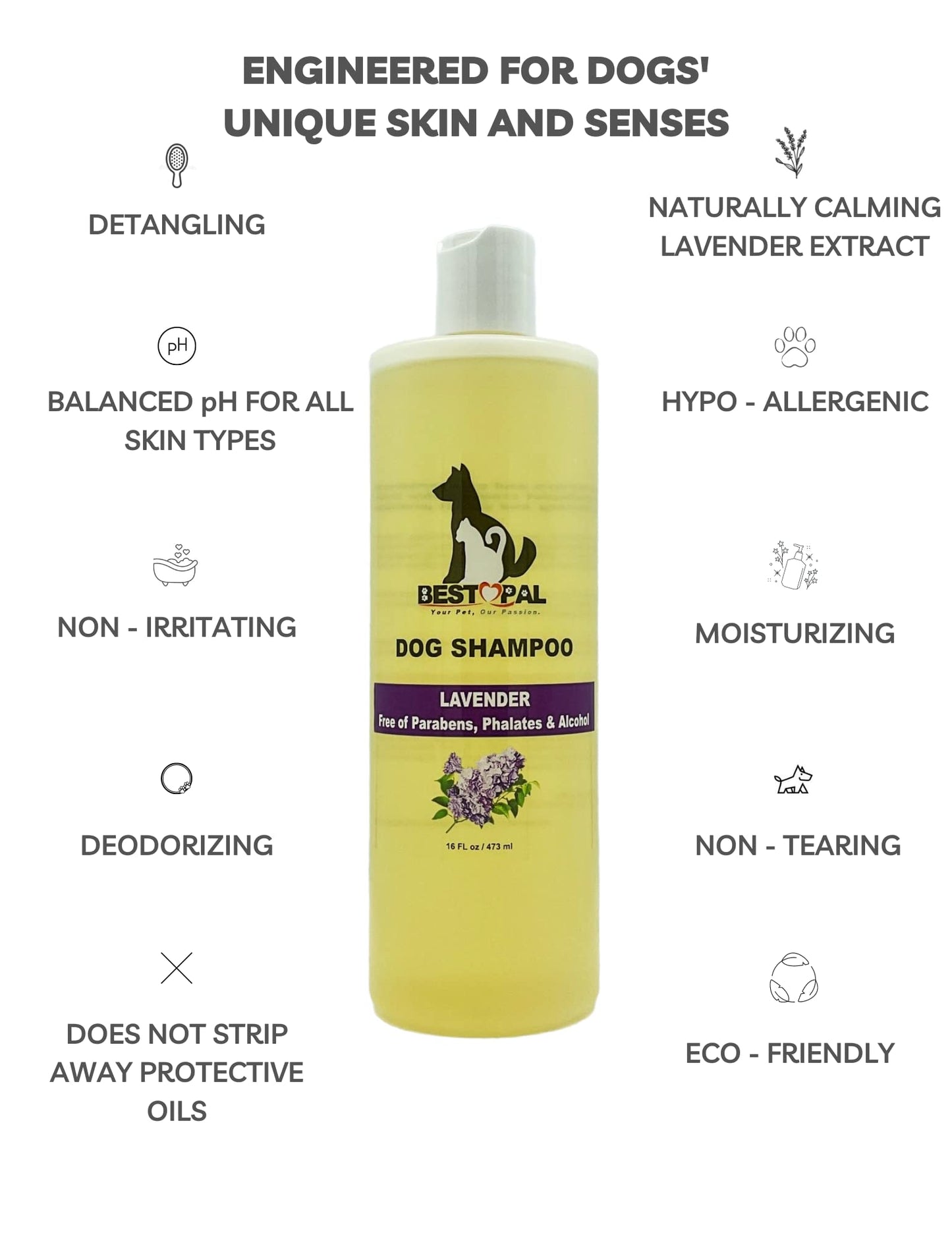 Healthy Breeds Cavachon Hypo-Allergenic Shampoo 8 oz