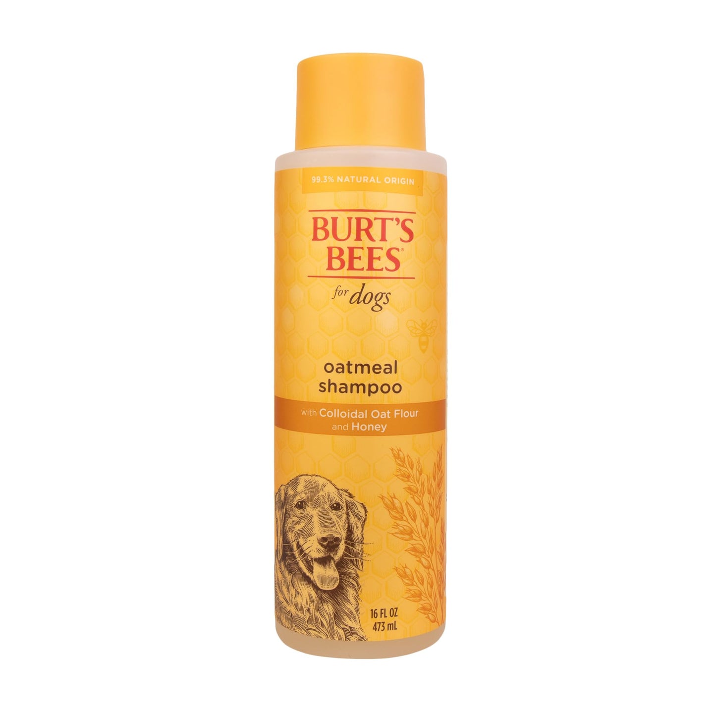 earthbath, Oatmeal & Aloe Dog Shampoo - Oatmeal Shampoo for Dogs, Itchy, Dry Skin Relief, Dog Wash, Made in USA, Cruelty Free Pet Shampoos - Vanilla & Almond, 16 Oz (1 Pack)