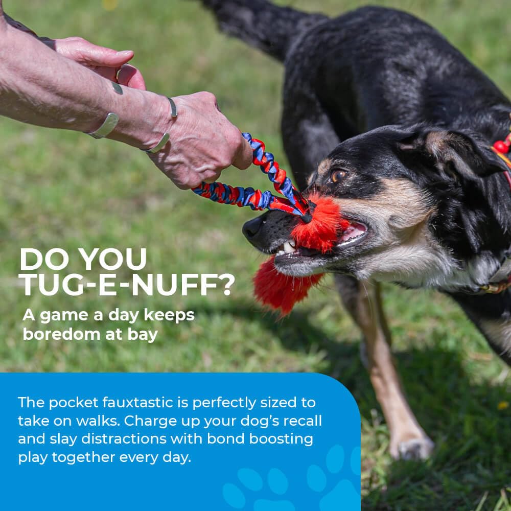 Tug-E-Nuff Pocket Fauxtastic | Durable Bungee Tug Toy for Dogs | Ideal for Interactive Dog Training and Dogs of All Ages | Made of Faux Fur and Comes in 3 Vibrant Colours | 13 x 7.5 inches in Size