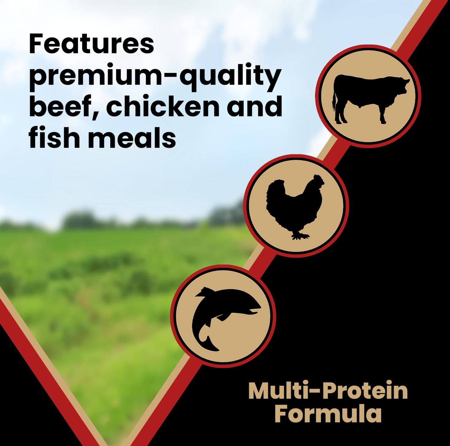 VICTOR Super Premium Dog Food – Purpose Nutra Pro – Gluten-Free, High Protein Low Carb Dry Kibble for Active Dogs of All Ages – Ideal for Sporting, Pregnant or Nursing Dogs & Puppies, 40lbs