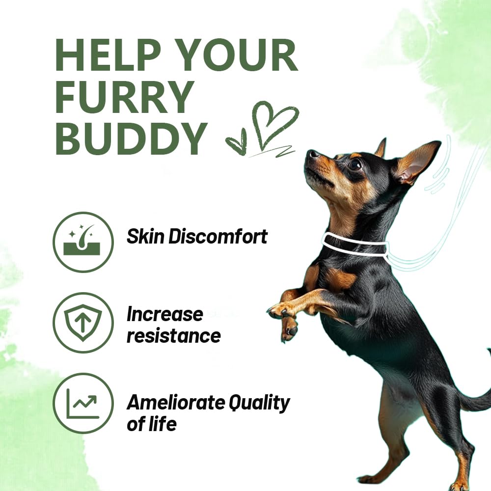 Nutridog Allergy Powder for Dogs, 90g Salmon Flavor - Itch Relief & Immune Support with Probiotics, Quercetin & Salmon Oil | Vet-Approved Formula for Seasonal Allergies & Sensitive Skin (Salmon)