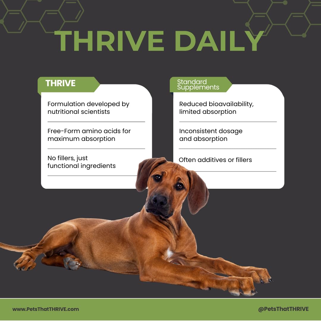 Thrive Daily - Amino Acids Supplement for Dogs - Supports Muscle Health, Energy, Healthy Joints, Skin & Coat - Suitable for Dogs All Ages & Sizes - 30 Soft Chews, 4.8oz