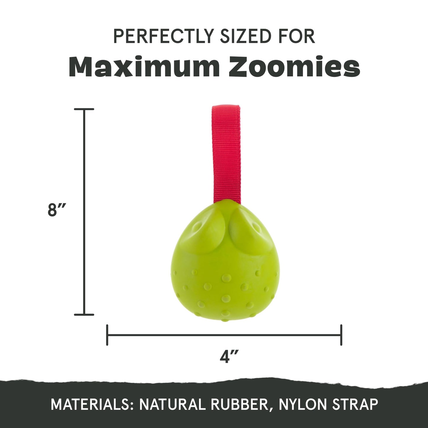 Barkbox Tug Tied Toad Dog Toy for Tough Chewers – Durable Rubber Design, Perfect for Tug-of-War