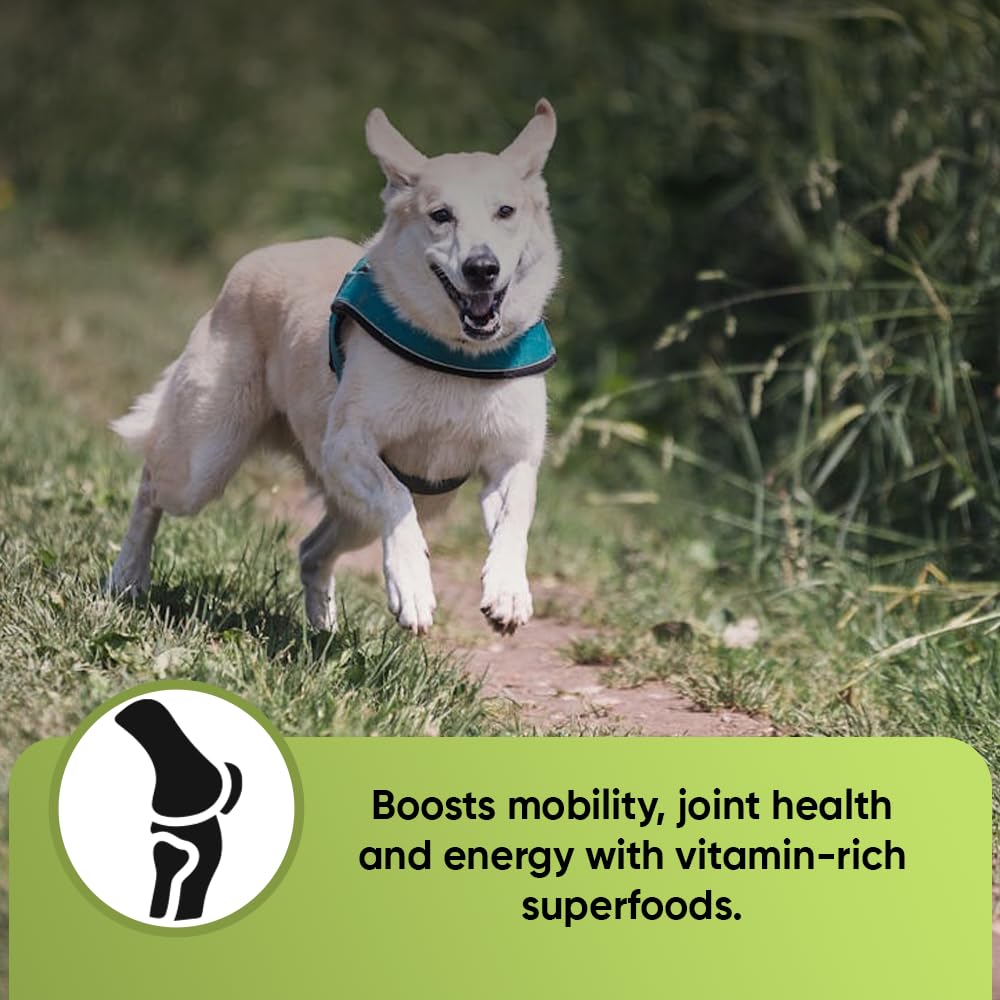 iHeartDogs Super Greens for Dogs with Broccoli Sprouts & Spirulina Powder - Seasonal Allergy & Immune Support Dog Greens Powder - Vitamins, Antioxidants & Minerals Supplement for Dogs