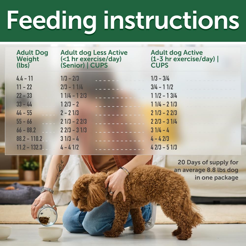 Nature's Protection Dry Dog Food for Small, Medium & Large Breed - High Protein, Grain Free Tear Stain Diet - Dog Kibble for Puppy & Adult Dogs with Red Fur (Superior Care - Lamb, 8.8 lb)