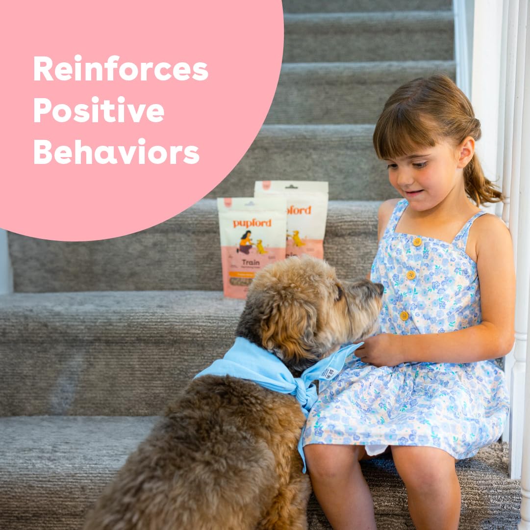 Cloud Star Buddy Biscuits Softies 5 oz Pouch, Grain-Free Soft & Chewy, Natural Grilled Beef Flavor Dog Treats, Oven Baked in The USA (Pack of 2)