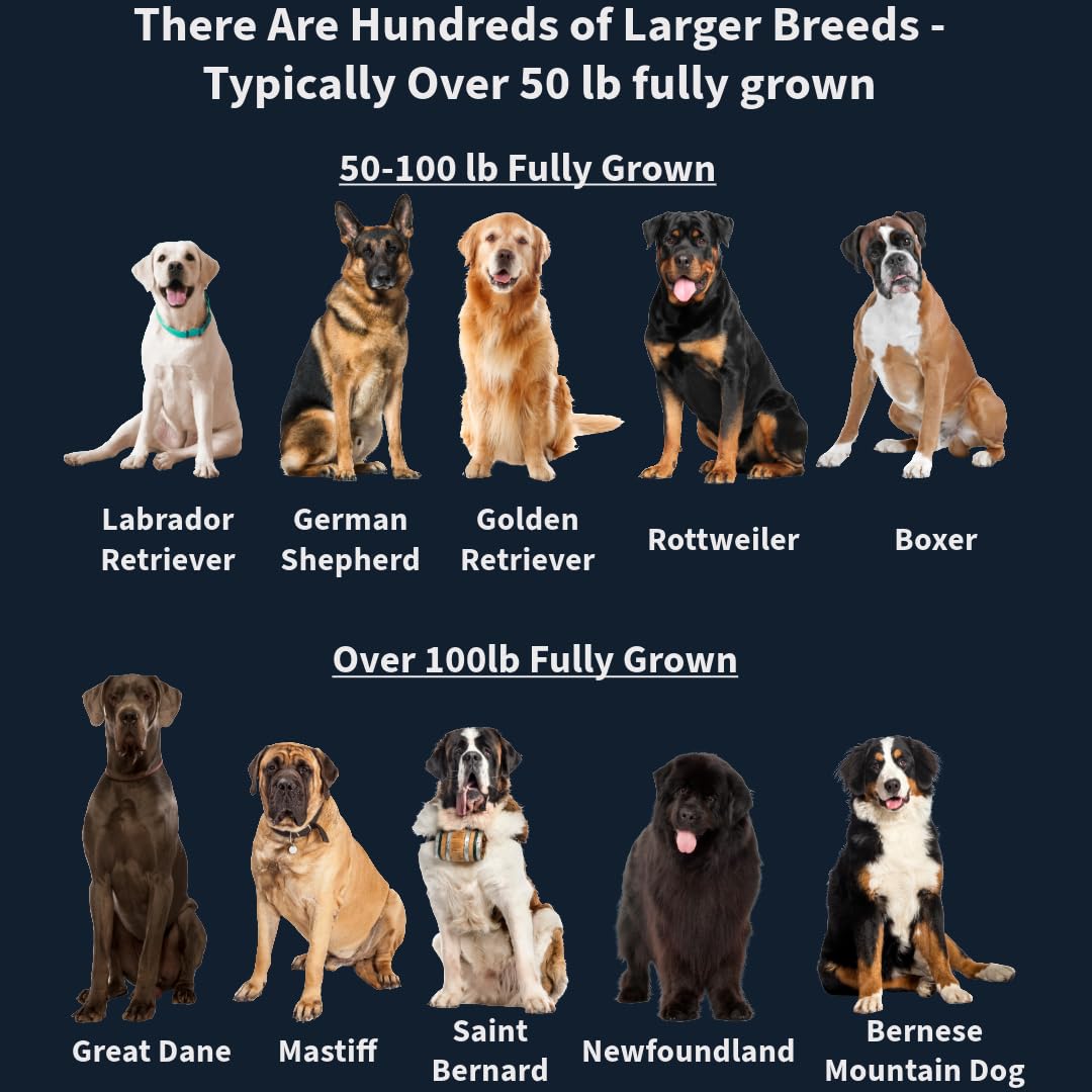 Large Breed Daily Multivitamin - Formulated for Large Dogs & Their Unique Health Needs, 90ct Delicious Bacon Flavor
