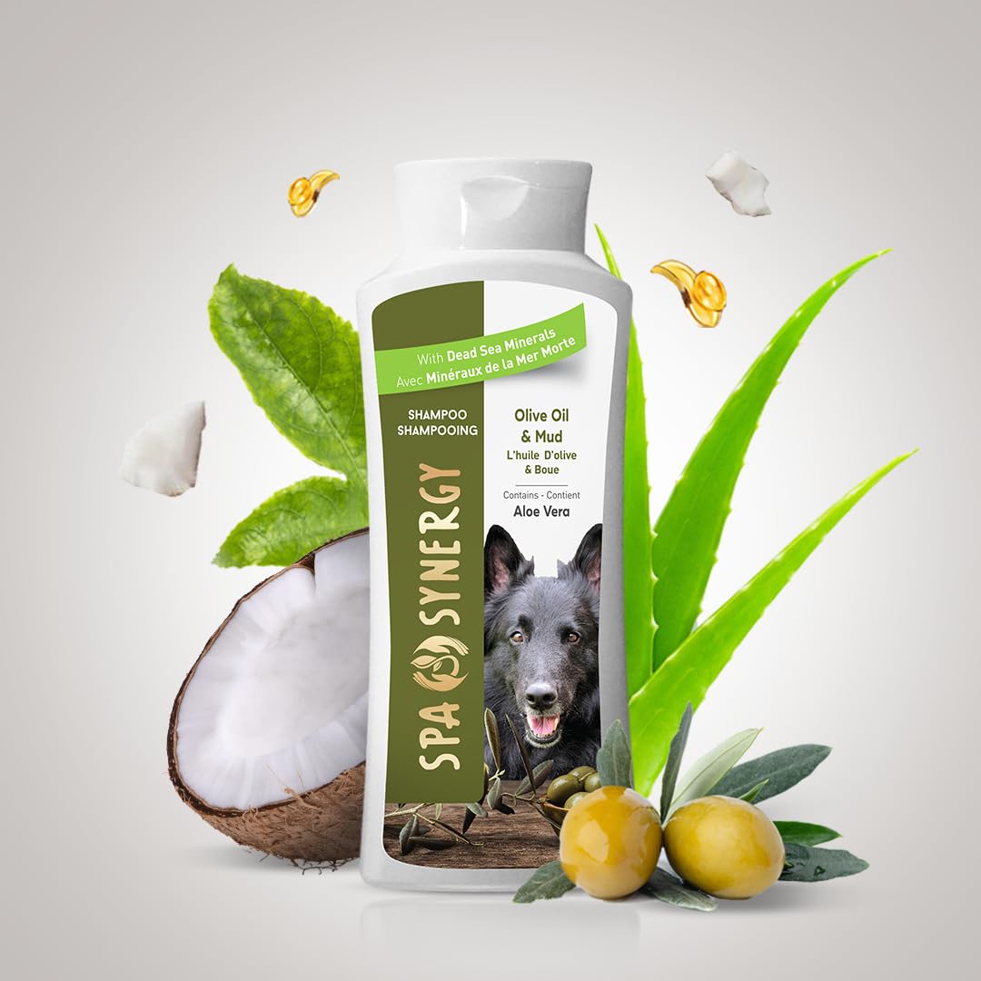 Spa Synergy Pet Dog Shampoo Mud and Natural Dead Sea Mineral Rich, Aloe Vera & Vitamin-E, Anti-itching, Soften & Shiny Coat, Moisturizing - Olive Oil - (1) Bottle 16.5 FL OZ