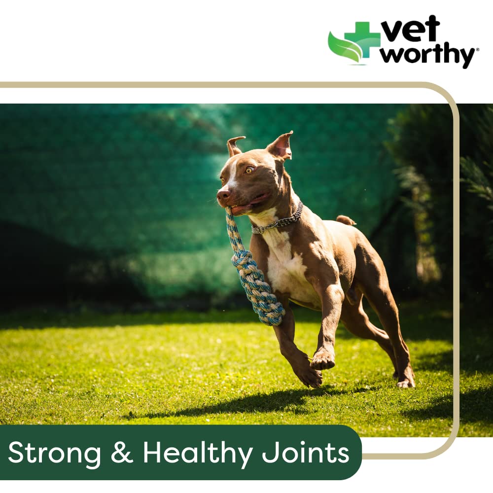 Hemp + Glucosamine Dog Treats for Picky Eaters Bundle + Hip & Joint Supplement w/Hemp Oil Chondroitin MSM Turmeric + Omega-3 - Natural Pain Relief + Chicken Flavor - 120 +180 Soft Chews - Made in USA