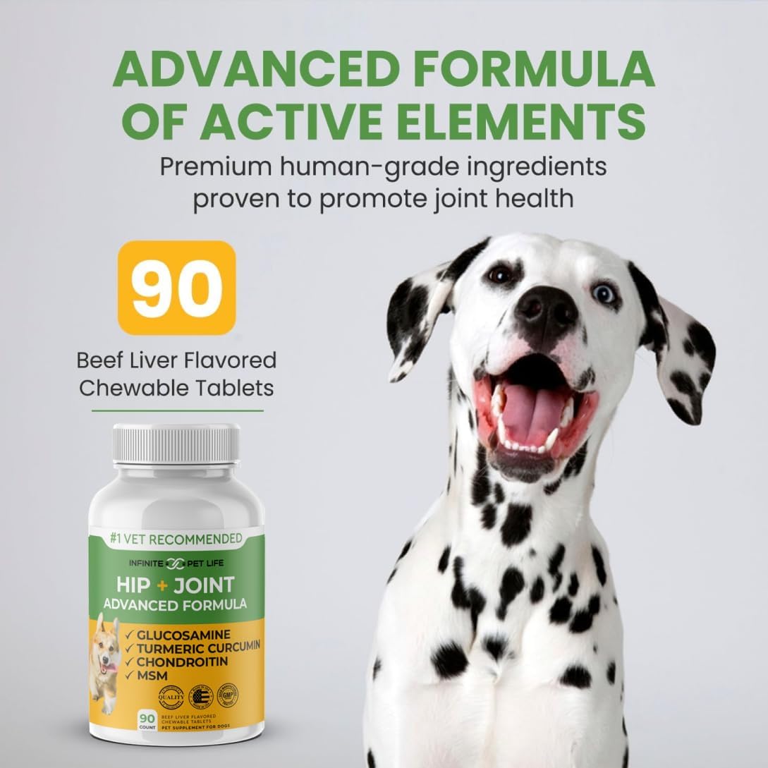 Advanced Hip and Joint Supplement for Dogs All Breeds - Glucosamine for Dogs Mobility & Pain Relief - All Natural Chondroitin, MSM & Turmeric Dog Joint Supplement - 90 Chewable Tablets