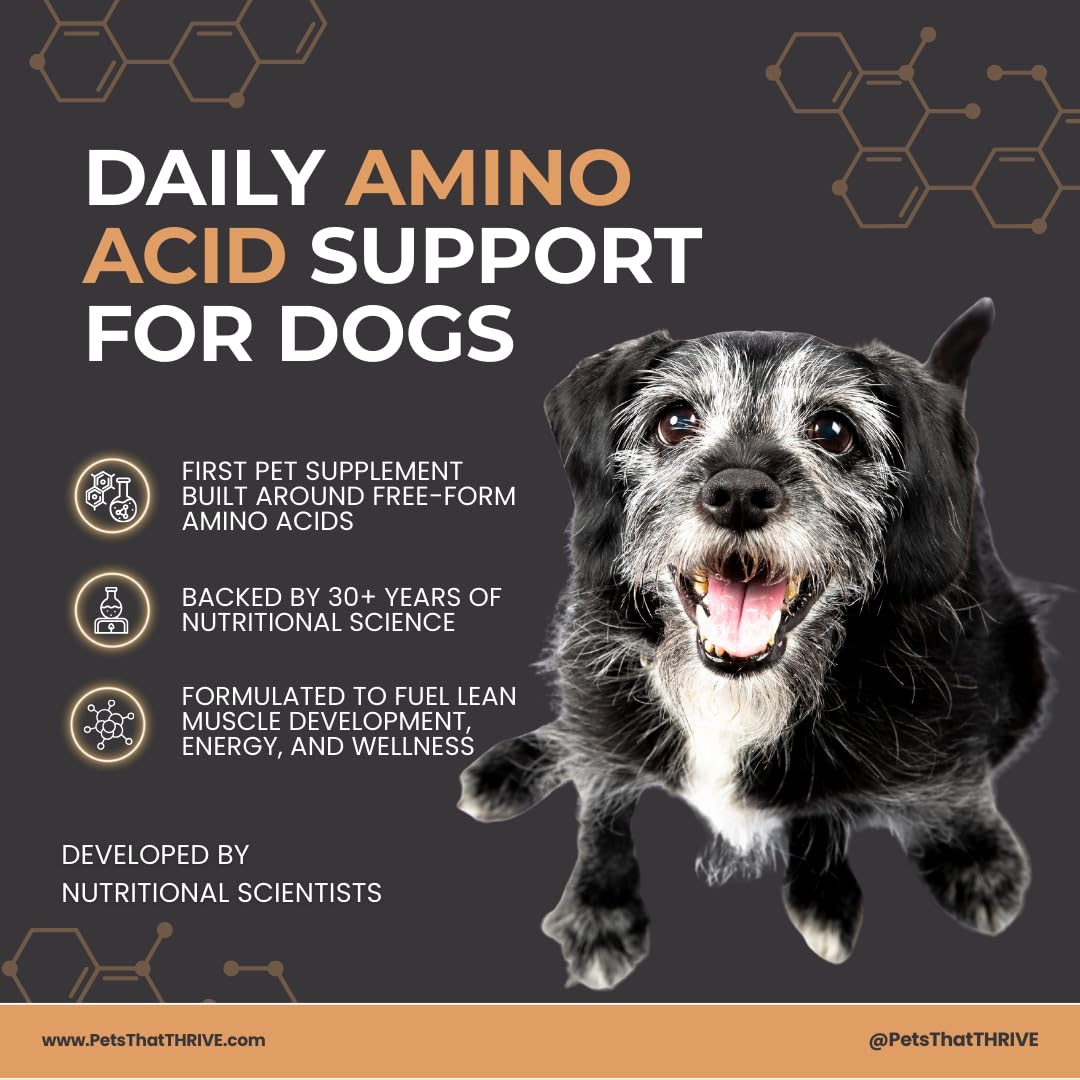 Thrive Daily - Amino Acids Supplement for Dogs - Supports Muscle Health, Energy, Healthy Joints, Skin & Coat - Suitable for Dogs All Ages & Sizes - 30 Soft Chews, 4.8oz