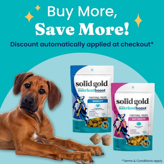 Solid Gold Healthy Dog Treats - Functional Chicken Dog Treat w/Glucosamine Chondroitin for Mobility & Joint Support - Training Treats for Dogs w/Salmon Oil & Superfoods - All Ages & Sizes - 5.2oz