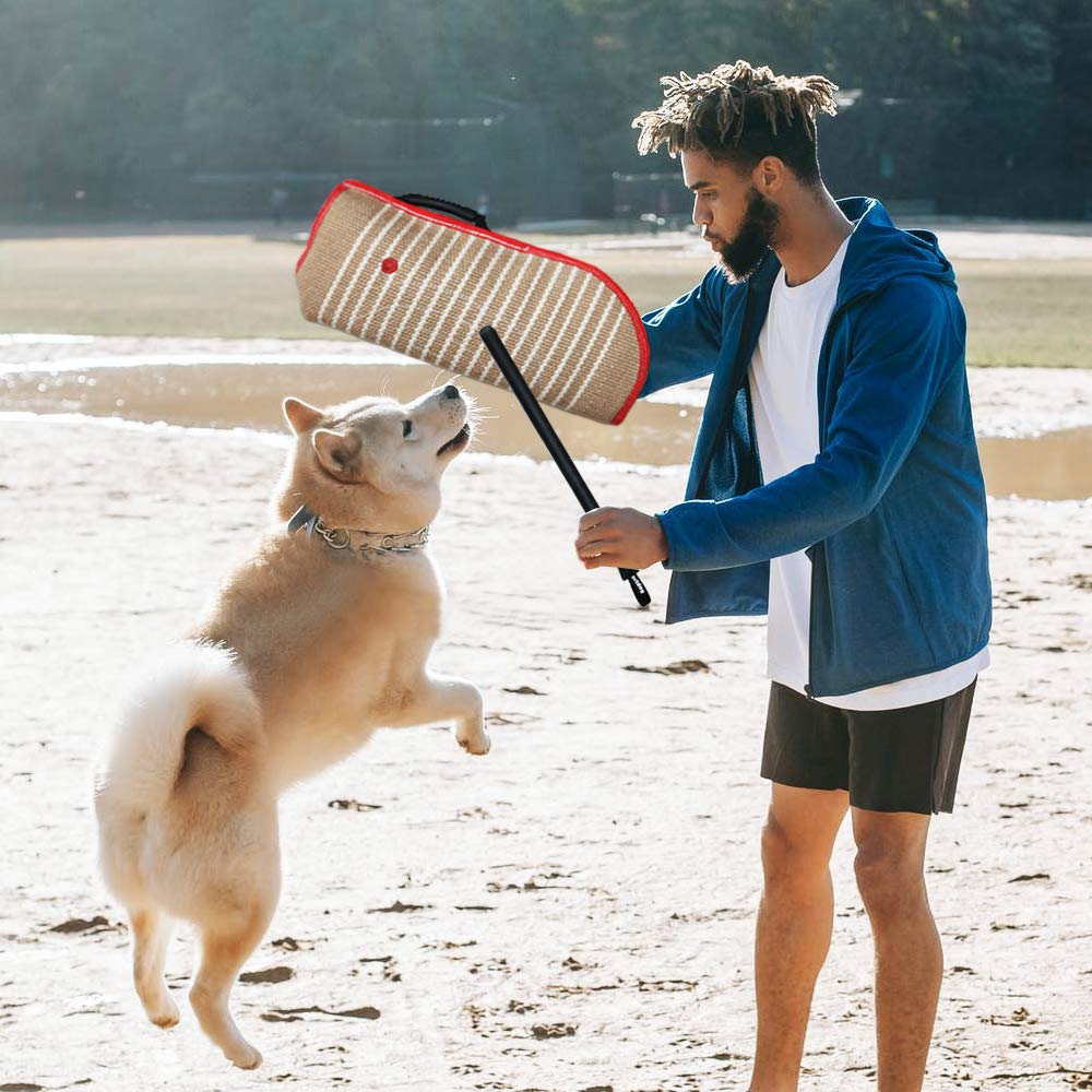 DGSL Dog Training Set - Dog Bite Sleeve, Pillow Tug Toy, Stick - Professional Training Equipment for Biting, Interactive, Fetch, K9, Puppy (Transverse Stripe)