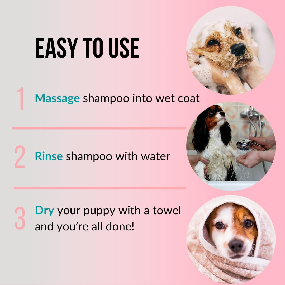 PET CARE Sciences 8 fl oz Tearless Puppy Shampoo and Conditioner - Anti Itch Dog Shampoo Sensitive Skin - Coconut Oil Oatmeal Pet Shampoo for Puppies