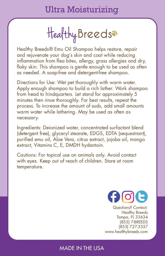 PNG Vitality Dry Skin & Anti-Itch Dog Shampoo+Waterless Paw Cleaner Bundle | Oatmeal Shampoo for Skin Relief | Hypoallergenic, Anti-Dandruff, Anti-Fungal | No Rinse Paw Cleaner with Coconut & Lavender