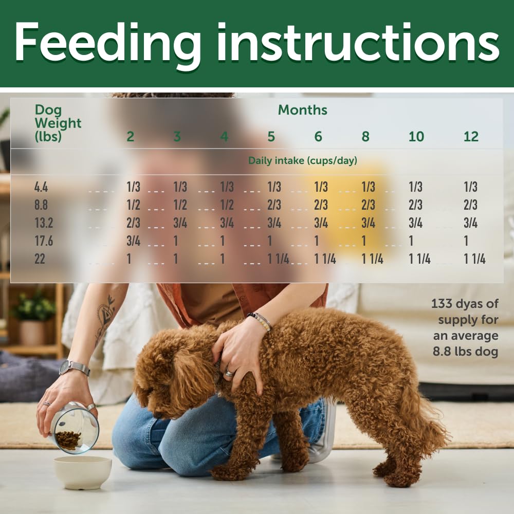 Nature's Protection Grain Free Dry Puppy Food for Small Breed - High Protein & Tear Stain Formula - Small Dog Food Kibble for Red Fur Puppies (Superior Care - Salmon, 22 lb)