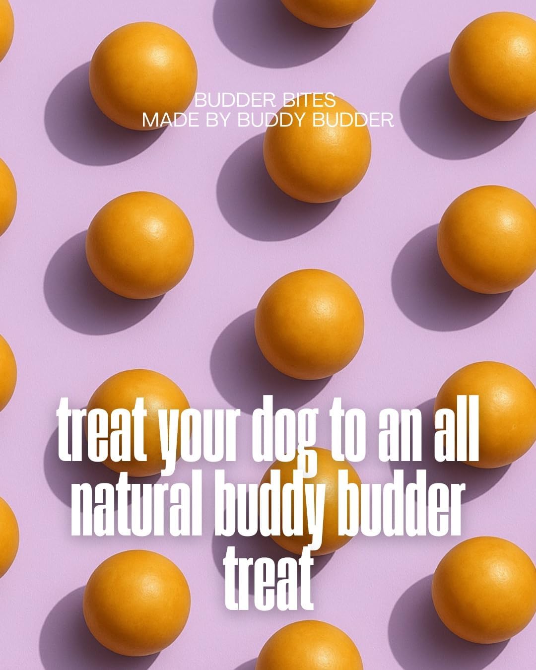 BUDDY BUDDER Superberry Snoot Bites, Natural Peanut Butter Dog Treats with Berry Flavor, Soft Peanut Butter Ball Treat or Use to Hide-A-Pill, 15 Balls, 5.3oz