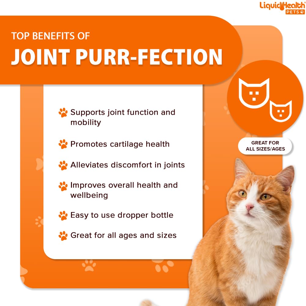 LIQUIDHEALTH Pets K9 Complete 8-in-1 Multivitamin for Dogs & Puppies & Joint Purr-Fection Hip & Joint Glucosamine Chondroitin Drops for Cats - USA Made Pet Supplements for Joint Health, Immune Support