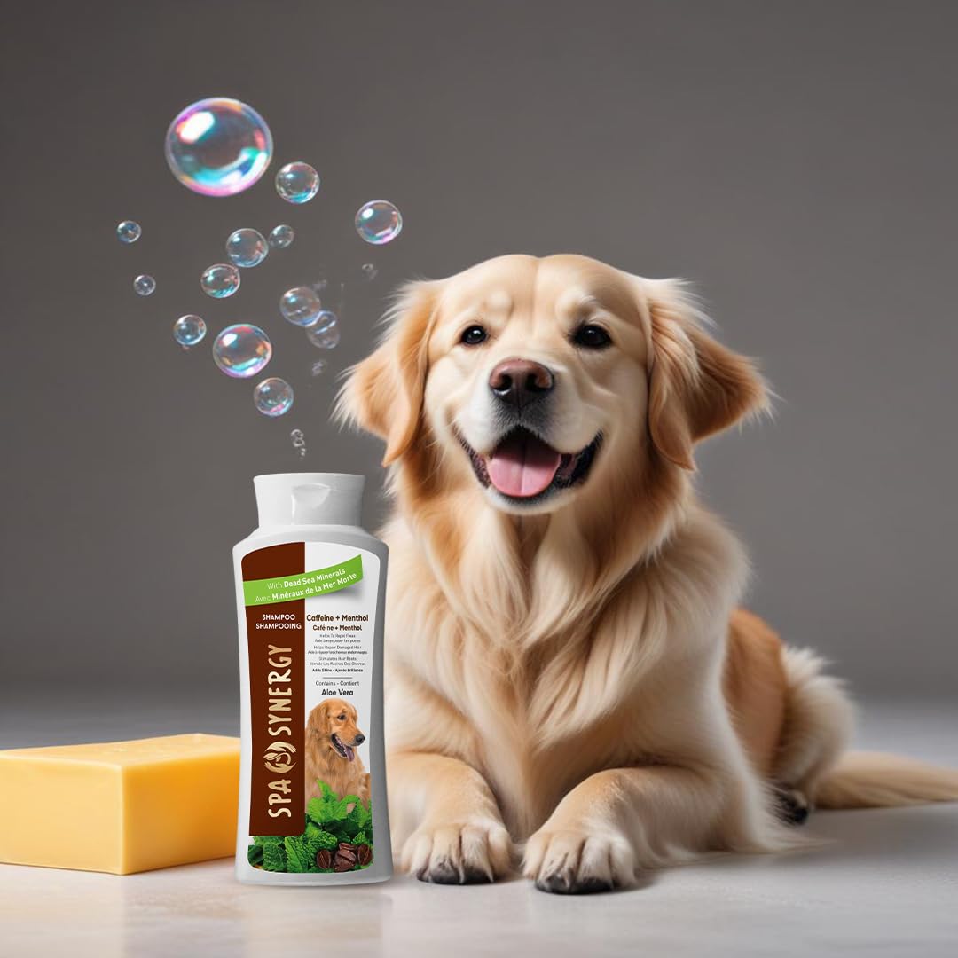 Spa Synergy Pet Dog Shampoo Natural Dead Sea Mineral Rich, Aloe Vera & Vitamin-E, Hair Repair, Stimulates Hair Roots, Refreshing - Caffeine & Menthol - (1) Bottle 16.5 FL OZ