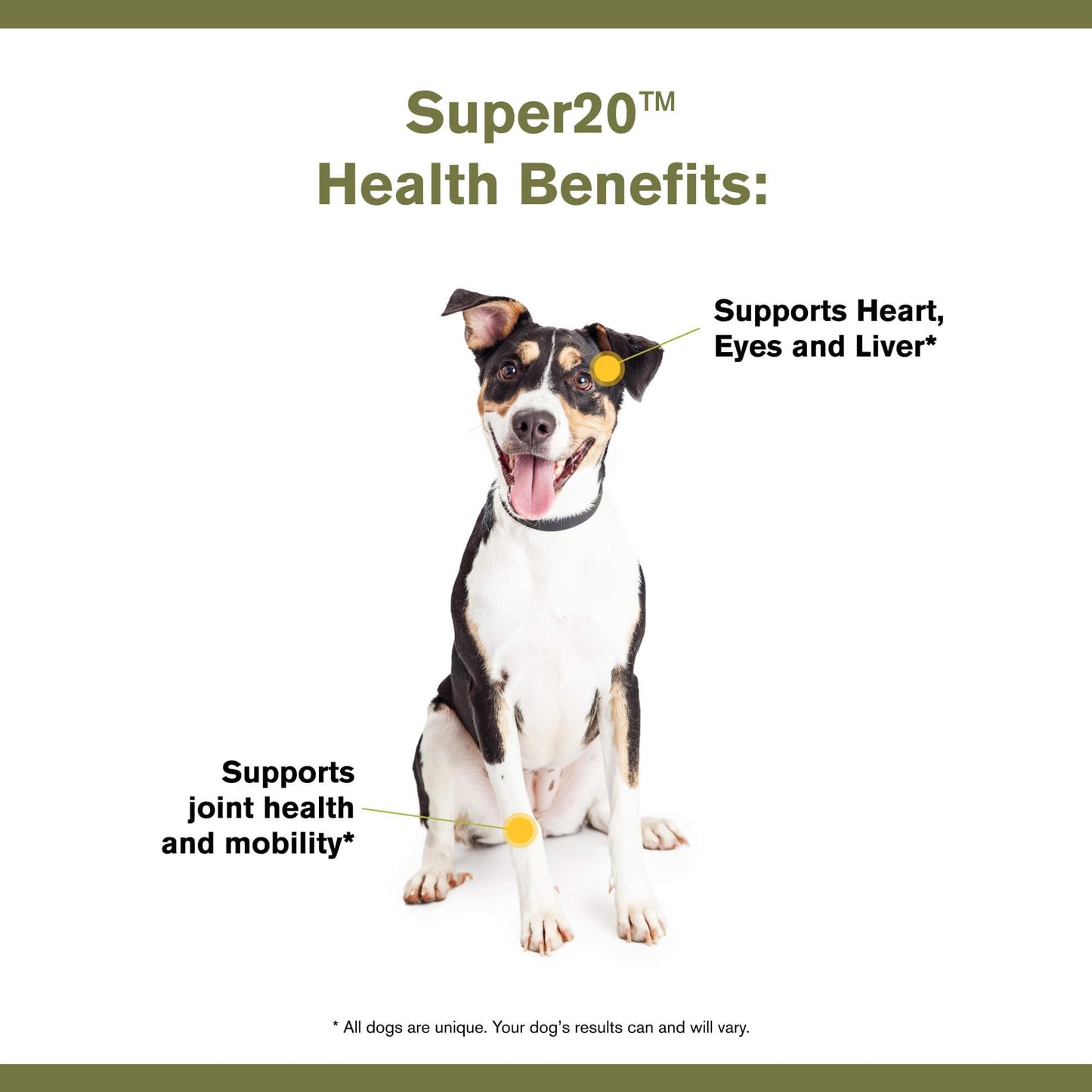 Badlands Ranch - Super20 Canine Supplement Organic Ingredients Multi-Benefit Supplement, Ashwagandha, Help w/Canine Well-Being, Heart, Joint, Vision, Antioxidant Support by Katherine Heigl (30 scoops)