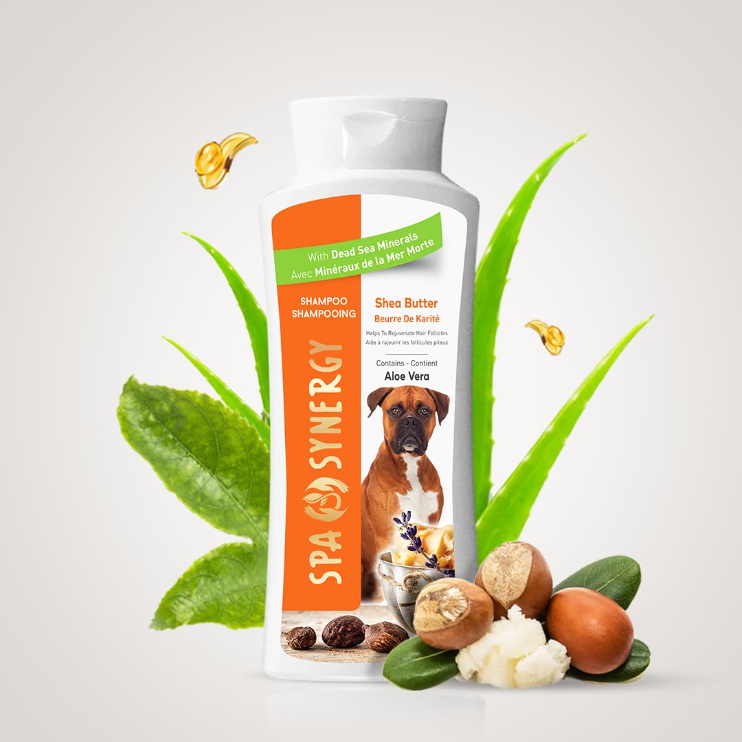 Spa Synergy Pet Dog Shampoo Natural Dead Sea Mineral Rich, Aloe Vera & Vitamin-E, Rejuvenate Hair Follicles, Emolliate Hair & Skin – Shea Butter - (1) Bottle 16.5 FL OZ