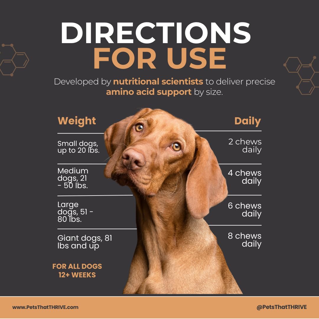 Thrive Daily - Amino Acids Supplement for Dogs - Supports Muscle Health, Energy, Healthy Joints, Skin & Coat - Suitable for Dogs All Ages & Sizes - 30 Soft Chews, 4.8oz